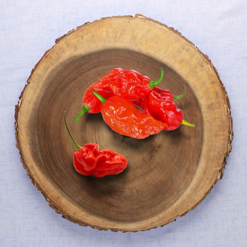 Ghost Pepper Seed Pod Kit image number null